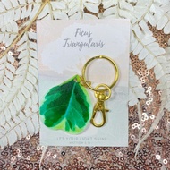 ✈☞❁Ficus Triangularis Keychain