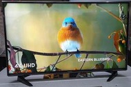 缺貨_全新背光 2017年 國際牌原裝 43吋型電視 4K智慧連網 TH-43EX600W