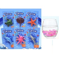 1pcs - GROWING BIG EXPANDABLE SEA ANIMAL TOY MAINAN RENDAM AIR KEMBANG IKAN SOTONG STARFISH