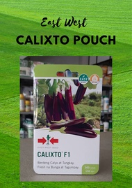 East West Seeds CALIXTO FI Talong