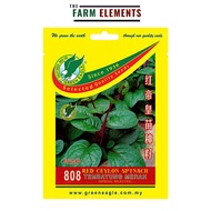 GE 808 Red Ceylon Spinach Seed/ Tembayung Merah Benih(5gm)