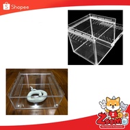 Reptile Acrylic Box/Snake Raising Box/Transparent Box 6x6x6 Inch