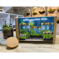 GPS Green Plant Society DIY Terrarium Kit (Terrarium glass included)