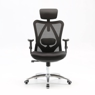 Sihoo M18 Ergonomic Chair - Office Chair Mesh Chair Director Chair Manager Chair Space Chair