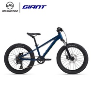 Giant Kids Bike STP FS 20