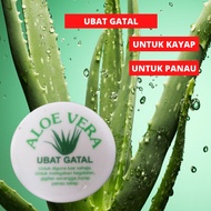 Ubat Gatal-Gatal/Kayap/Panau Aloe Vera Lidah Buaya