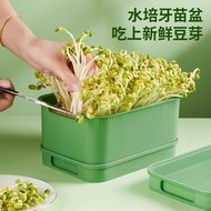 Tray Planting Sprouting Capacity Household Bean Sprout Machine Special for Sprouting Beans Artifact 