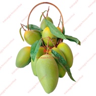 Fake fruit, 10 green sand mangoes, model fruit, fake fruit - home decoration