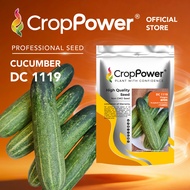 (100 GRAM) Biji Benih Timun DC1119 CROP POWER F1 Hybrid Cucumber Seeds  黄瓜种子 DC 1119