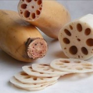 LIMITED Lotus Root / Akar Teratai