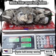 Oyster koi pond filter media plus waring 1kg/oyster plus waring oyster/ koi pond filter media oyster