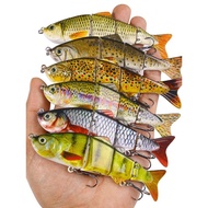 mata kail yamashita squid jig Alat pancing Hengjia umpan Luya ikan pelbagai bahagian 16.8 gram umpan