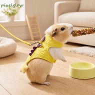 PIXELGLOW Small Pet Harness Leash, Dragon Design Cartoon Ferret Vest Harness, Cute Adjustable with B