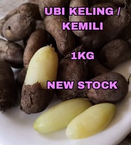 READY STOCK UBI KELING KEMILI 1KG