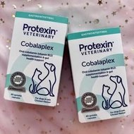 💥現貨💥 Protexin Cobalaplex 可萊適 60顆