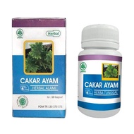 Wash Warehouse Herbal Shark Chicken Claw Herbal Medicine Acute Hepatitis Chronic Herbal Medicine, Ur