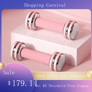 Dumbbell Electroplate Adjustable Dumbbell Small Weight Ladies Household Dumbbell Set liuhuan3.sg