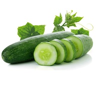 Biji Benih : Timun (10 biji) / Cucumber Seeds