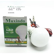 MXD LED Light DC 5w 12v Led Bulb/ LED Bulb/