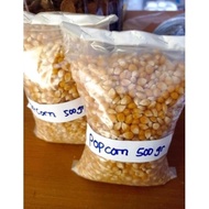 Biji Jagung Popcorn 500Gram/ Biji Jagung Mentah Kering 500Gr /Popcorn