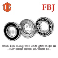 FBJ Bearing 6906 6302 6904 6804 6801 6204 6301 6300 6907 6002 6001 6305 6306 6903 6802 6004 6007 620