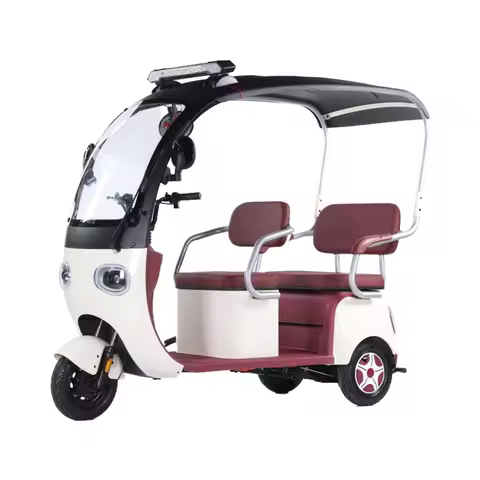 2025 CE New Tricycle Electric Bike 800w TRUCK Tuk Tuk 3 Wheel Scooter tandem Fat Europe Mini Car Ric
