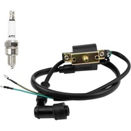 HIAORS Ignition Coil and A7TC Spark Plug for Coolster 125cc 110cc 90cc 70cc 50cc Taotao DB10 Cheetah