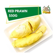 227 Katong Durian Fresh Red Prawn Durian - 550G