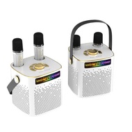 P889 Household Integrated Portable K-Song Bluetooth Speaker Portable Subwoofer Children's Dual Micro