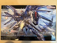 HG 1/144 飛昇自由高達 Gundam Seed Freedom Rising Freedom Gundam