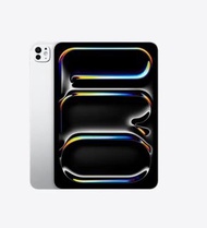 iPad Pro 11 inch 512GB(第4代)
