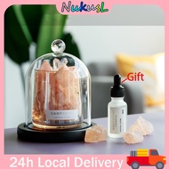 SG Aroma Diffuser with Himalayan Salt Diffuser Stone Essential Oil, Glass Diffuser Humidifier