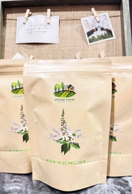 UTEAM FARM (3 PACK 45) cat wish tea Orthosiphon Aristatus