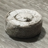 [SG In Stock] 5/10 PCS Jiffy Peat Pellets Seed Starting Plugs Seeds Starter Pallet Seedling Soil Blo