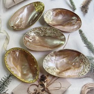 Shell Tray Pearl Shooting Hotel Polished Shell Shell Fruit Plate Natural Caviar Plate Props Table Pl