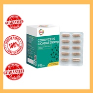 GKB Cordyceps Cicadae Vegecap 60s Exp4/2024/supplement mata