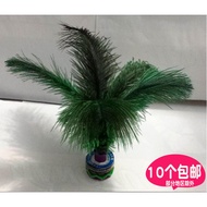 Shuttlecock Ostrich Feather Big Flower Shuttlecock Feather Shuttlecock Soft Feather Competition Fitn