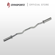 Pivot Olympic EZ Curl Bar