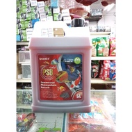 Quas 21 PSB 5L-Photosyntheis Bacteria 5L