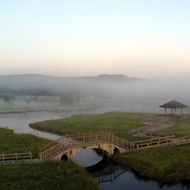 Make up the link freight difference 1 yuan make up the price of special auction how much on how many