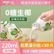 Coconut Milk Coconut Milk Light Coconut Milk 0 Sugar Raw Coconut Thick Coconut Milk Added Collagen P