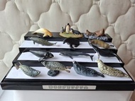 海洋動物模型展示盒