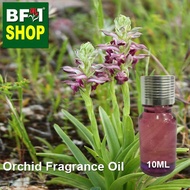 Orchid Fragrance Oil - Bedbug orchid > Orchis chloriophora
