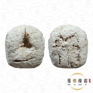 冠咩布倫2494必打