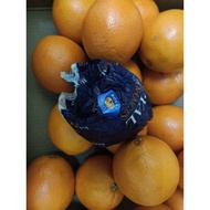 恭喜发财 新年 CNY 2021 ORANGE肉橙🍊5粒/10粒 散装卖 #恭喜发财 #新年 #CNY #2021 #LIMAU #MANDARIN #ORANGE #APPLE #PEARL #苹果