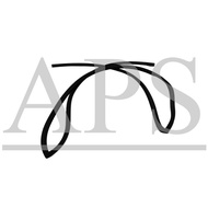 PROTON GEN 2 / PERSONA / PERSONA ELEGANCE FRONT WINDSCREEN MOULDING / GETAH CERMIN DEPAN / WINDSCREE