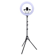 Halo Ring Light LED Camera 18inch with 3xSmartphone Holder+Tripod - JY-460B