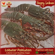 PROMO!!! Lobster Pakistan Segar 1kg isi 3-4 Ekor/Lobster Laut Segar