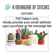 Succulents Crochet Pattern PDF
