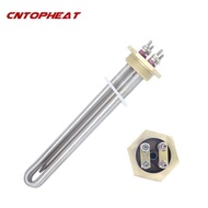 ✚12V Heating Element 300W 1 1/4\" BSP DN32 Screw-in Copper Flange DC Water Heating Element With ☆⚔